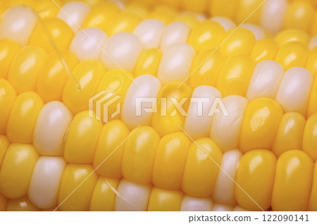 Boiled corn, macro. 122090141