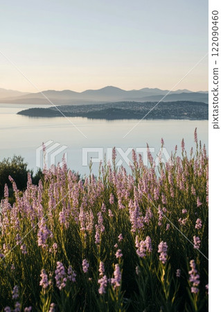 beautiful pink flowers close-up against the background of mountains 122090460