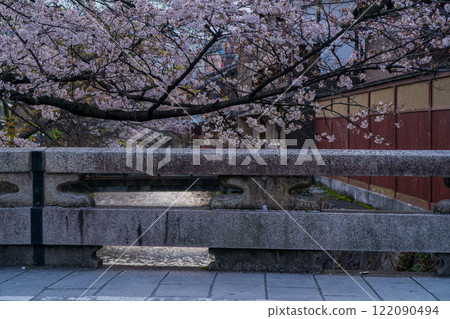 在古都京都的東山祗園白河拍攝春天綻放的櫻花 122090494