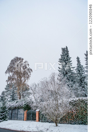 Snow winter background. Nature forest landscape. 122090846