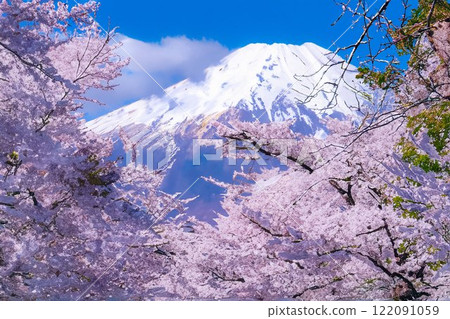 [春天素材]忍野村櫻花和富士山，水彩風格[山梨縣] 122091059