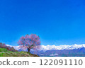 【櫻花素材】野平地區的一棵櫻花樹和白雪皚皚的北阿爾卑斯山插畫風格【長野縣】 122091110