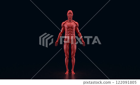 The Human anatomy for medical or education concept 3d rendering. 122091805