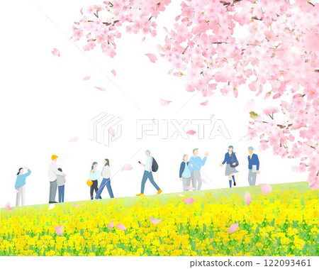 Various people walking along a bank with cherry blossom trees and rape blossoms - full body - spring - people vector illustration white background material Various people walking along a bank with cherry blossom trees and rape blossoms - full body - spring - people vector illustration white background material 122093461