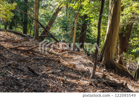京都府宇治市大吉山(佛德山)的冬景 京都府宇治市大吉山(佛德山)的冬景 122093549