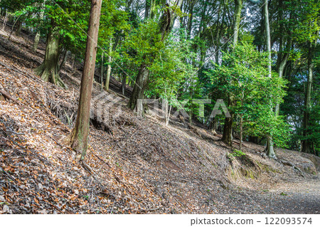 京都府宇治市大吉山(佛德山)的冬景 京都府宇治市大吉山(佛德山)的冬景 122093574