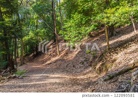 Winter forest scenery of Mt. Daikichi (Mt. Buttoku) in Uji, Kyoto Prefecture 122093581