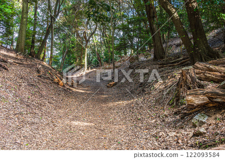 京都府宇治市大吉山（佛德山）的冬景 122093584