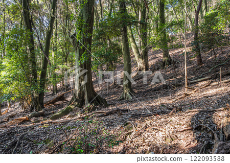 京都府宇治市大吉山(佛德山)的冬景 京都府宇治市大吉山(佛德山)的冬景 122093588