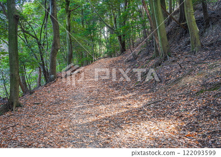京都府宇治市大吉山（佛德山）落葉的冬季山路 122093599