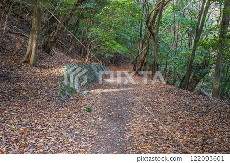 Fallen leaves on a winter hiking trail at Mt. Daikichi (Mt. Butoku), Uji, Kyoto Prefecture 122093601