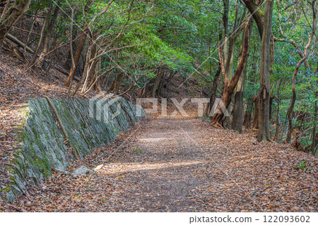 京都府宇治市大吉山（佛德山）落葉的冬季山路 122093602