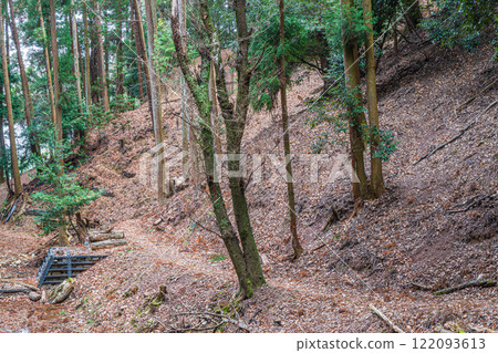 Winter forest scenery of Mt. Daikichi (Mt. Buttoku) in Uji, Kyoto Prefecture Winter forest scenery of Mt. Daikichi (Mt. Buttoku) in Uji, Kyoto Prefecture 122093613