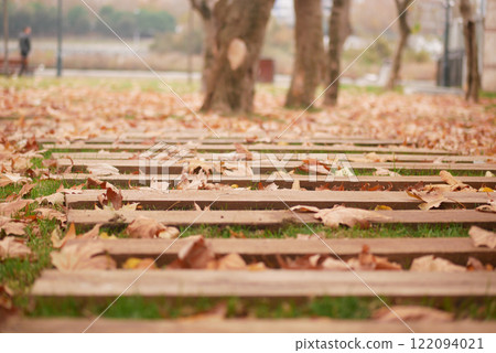 A Beautiful Autumn Pathway that is Covered in Colorful Leaves 122094021