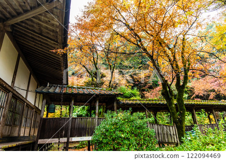永勝寺的紅葉【福岡縣久留米市】 永勝寺的紅葉【福岡縣久留米市】 122094469