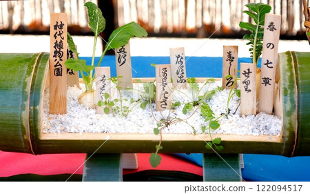 New Year's Events: Bonsai of the Seven Herbs of Spring 122094517