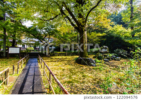 清水寺坊庭園的紅葉【福岡縣美山市】 122094576
