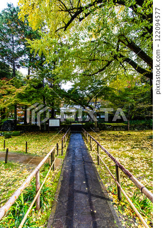 清水寺坊庭園的紅葉【福岡縣美山市】 清水寺坊庭園的紅葉【福岡縣美山市】 122094577