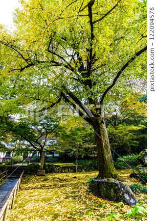 清水寺坊庭園的紅葉【福岡縣美山市】 清水寺坊庭園的紅葉【福岡縣美山市】 122094578