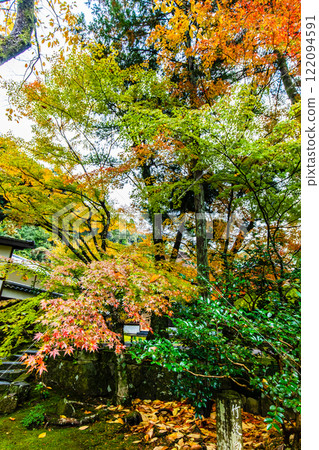 清水寺坊庭園的紅葉【福岡縣美山市】 清水寺坊庭園的紅葉【福岡縣美山市】 122094591