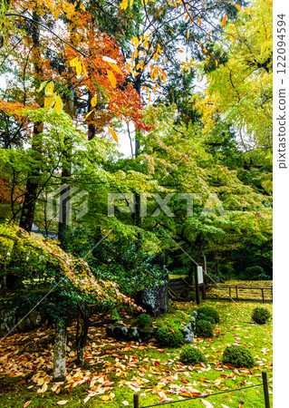 清水寺坊庭園的紅葉【福岡縣美山市】 清水寺坊庭園的紅葉【福岡縣美山市】 122094594
