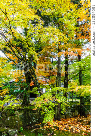 清水寺坊庭園的紅葉【福岡縣美山市】 清水寺坊庭園的紅葉【福岡縣美山市】 122094595