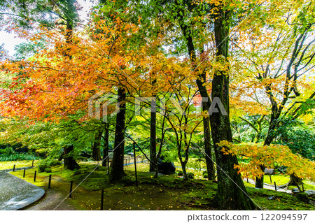 清水寺坊庭園的紅葉【福岡縣美山市】 清水寺坊庭園的紅葉【福岡縣美山市】 122094597