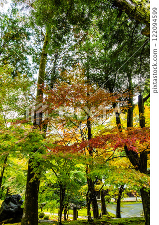 清水寺坊庭園的紅葉【福岡縣美山市】 122094599