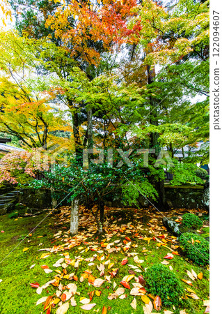 清水寺坊庭園的紅葉【福岡縣美山市】 清水寺坊庭園的紅葉【福岡縣美山市】 122094607
