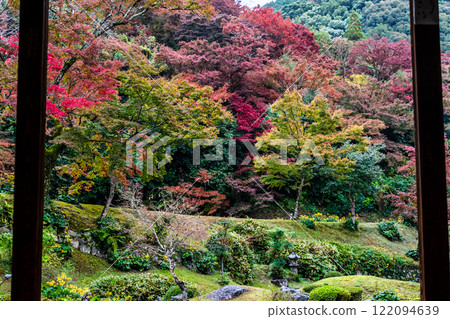 Autumn leaves in the Honbo Garden of Kiyomizu-dera Temple [Miyama City, Fukuoka Prefecture] 122094639