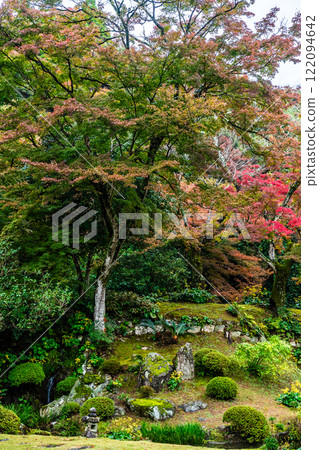 清水寺坊庭園的紅葉【福岡縣美山市】 清水寺坊庭園的紅葉【福岡縣美山市】 122094642