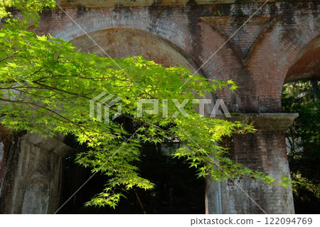 Green maple leaf aqueduct 122094769