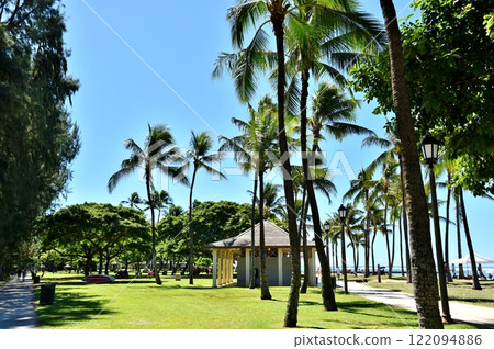 與棕櫚樹的風景 與棕櫚樹的風景 122094886