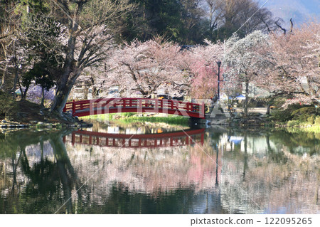 Cherry blossoms at Garyu Park (Suzaka City, Nagano Prefecture) 122095265