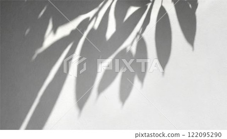 Botanical plant leaf shadow silhouette abstract frame background wallpaper 122095290