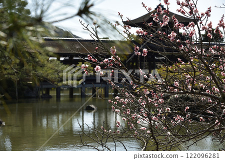 Heian Shrine East Garden: Seiho Pond in early spring [Nationally designated scenic garden] 122096281