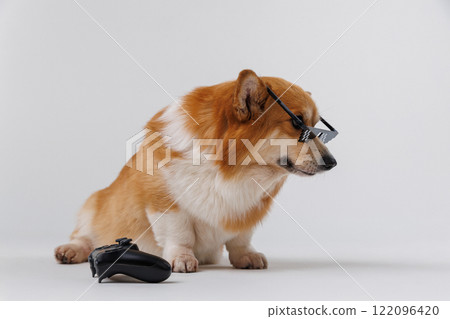 Cool corgi dog wearing pixelated sunglasses with a video game controller, playful vibe 122096420