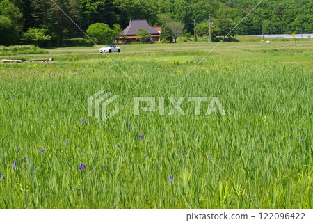 藝北八幡高原田野景觀 122096422
