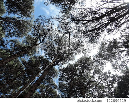 Malawi has a variety of tourist attraction sites including Lake Malawi, several national parks, game reserves, and Mulanje Mountain. Malawi has a variety of tourist attraction sites including Lake Malawi, several national parks, game reserves, and Mulanje Mountain. 122096529