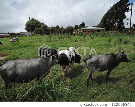 Malawi has a variety of tourist attraction sites including Lake Malawi, several national parks, game reserves, and Mulanje Mountain. Malawi has a variety of tourist attraction sites including Lake Malawi, several national parks, game reserves, and Mulanje Mountain. 122096543