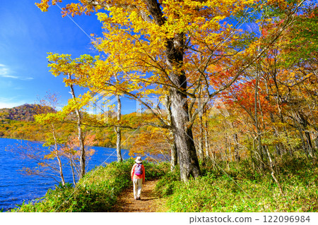 秋天的大沼散步道 122096984