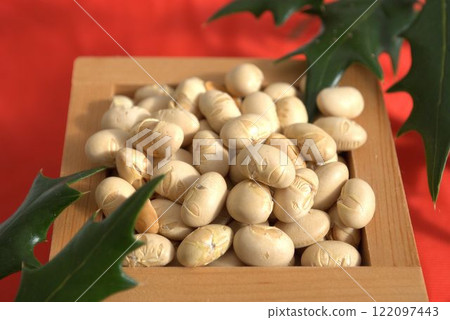 紅色背景方形中的大豆和冬青葉 122097443