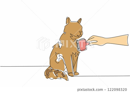 Single continuous line drawing hand combing a sitting cat with an animal comb. Take care of the beloved cat with care. Comfort. National Hairball Awareness Day. One line design vector illustration Single continuous line drawing hand combing a sitting cat with an animal comb. Take care of the beloved cat with care. Comfort. National Hairball Awareness Day. One line design vector illustration 122098320