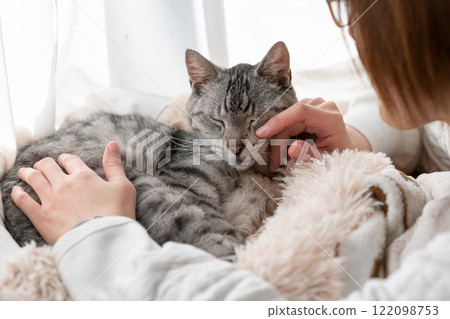 主人撫摸一隻貓，一隻鯖魚虎斑貓 122098753