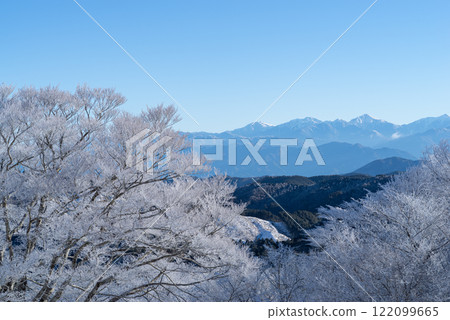 南阿爾卑斯山的冰凍樹木和雪山 南阿爾卑斯山的冰凍樹木和雪山 122099665
