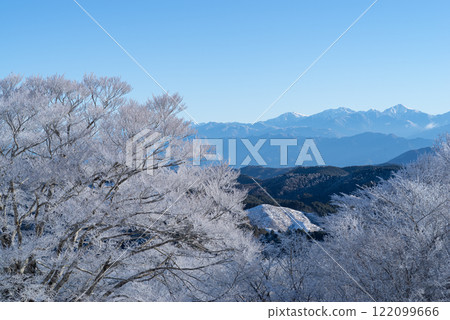 南阿爾卑斯山的冰凍樹木和雪山 122099666