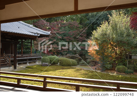 深秋從瑞心院能屋看到的庭園（京都市山科區） 122099748