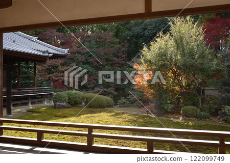 深秋從瑞心院能屋看到的庭園（京都市山科區） 122099749