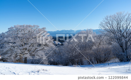 南阿爾卑斯山的冰凍樹木和雪山 122099844
