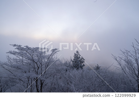 等待日出的白霜森林 等待日出的白霜森林 122099929